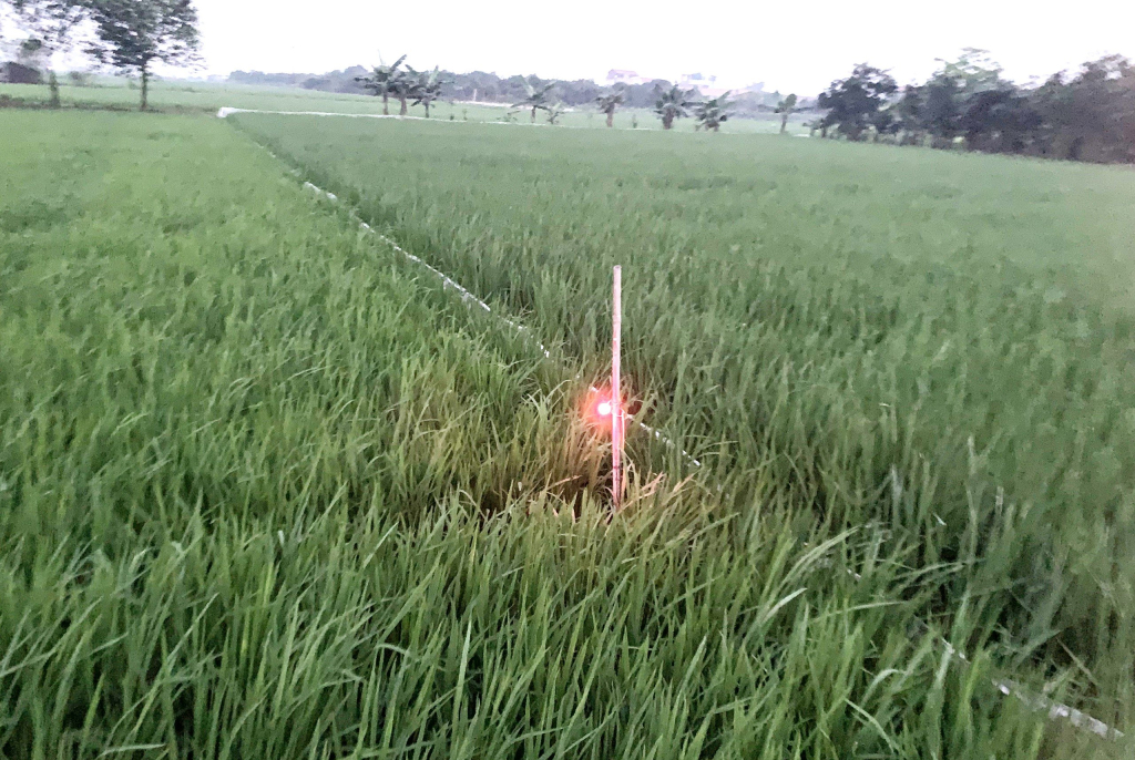 Pháp luật và cuộc sống: Dùng điện bẫy chuột có thể phạm tội “giết người”